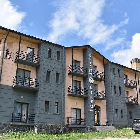 Lileo Inn Hotel Mestia Zewnętrze zdjęcie